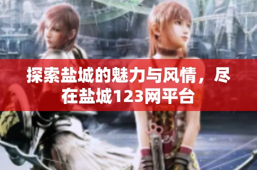 探索盐城的魅力与风情，尽在盐城123网平台