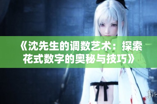 《沈先生的调数艺术：探索花式数字的奥秘与技巧》
