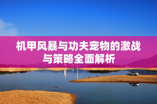机甲风暴与功夫宠物的激战与策略全面解析