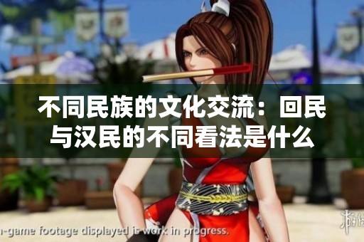 不同民族的文化交流：回民与汉民的不同看法是什么