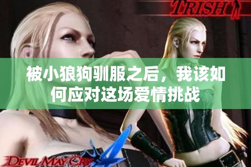 被小狼狗驯服之后，我该如何应对这场爱情挑战