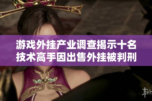 游戏外挂产业调查揭示十名技术高手因出售外挂被判刑细节