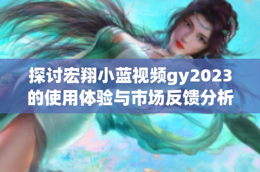 探讨宏翔小蓝视频gy2023的使用体验与市场反馈分析