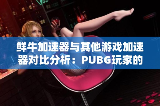 鲜牛加速器与其他游戏加速器对比分析：PUBG玩家的理想选择
