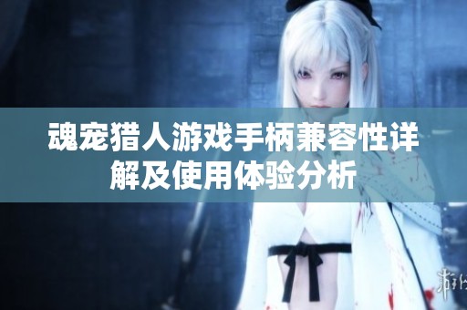 魂宠猎人游戏手柄兼容性详解及使用体验分析
