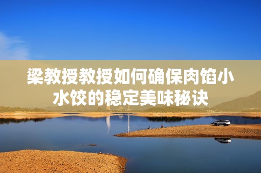 梁教授教授如何确保肉馅小水饺的稳定美味秘诀