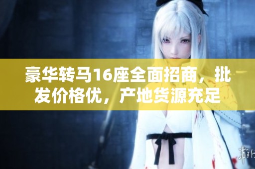 豪华转马16座全面招商，批发价格优，产地货源充足