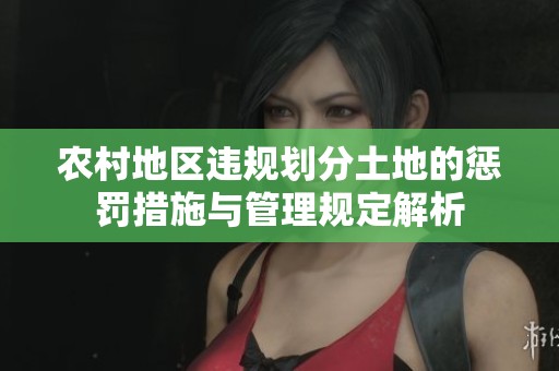 农村地区违规划分土地的惩罚措施与管理规定解析