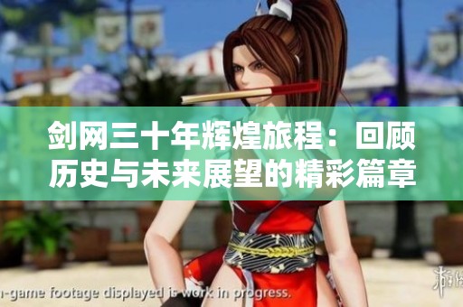 剑网三十年辉煌旅程：回顾历史与未来展望的精彩篇章