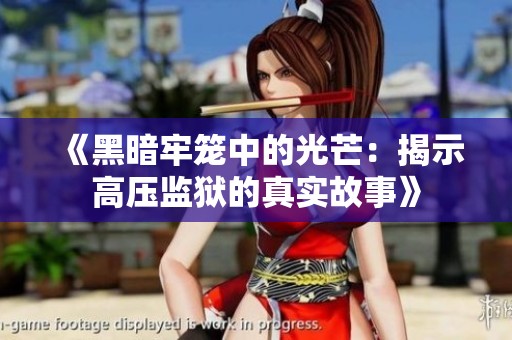 《黑暗牢笼中的光芒：揭示高压监狱的真实故事》