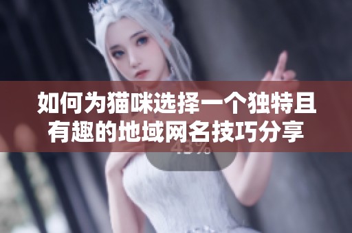 如何为猫咪选择一个独特且有趣的地域网名技巧分享