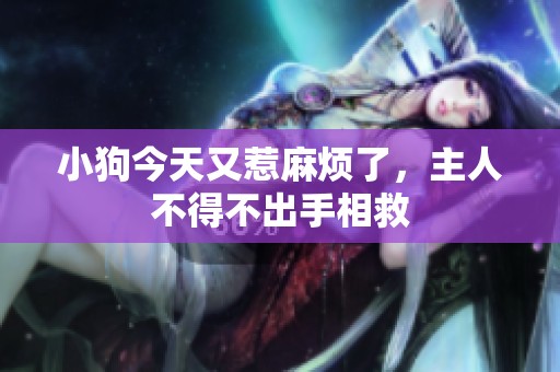 小狗今天又惹麻烦了，主人不得不出手相救