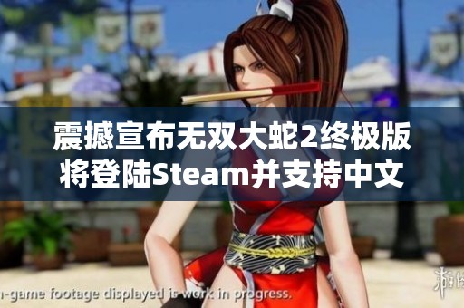 震撼宣布无双大蛇2终极版将登陆Steam并支持中文