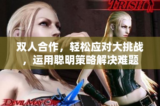 双人合作，轻松应对大挑战，运用聪明策略解决难题
