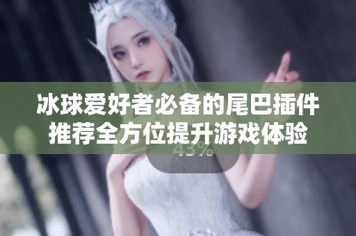 冰球爱好者必备的尾巴插件推荐全方位提升游戏体验