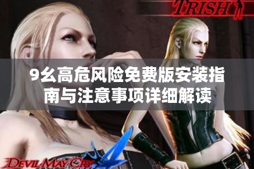 9幺高危风险免费版安装指南与注意事项详细解读