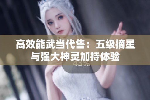 高效能武当代售：五级摘星与强大神灵加持体验