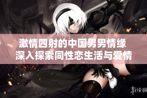 激情四射的中国男男情缘 深入探索同性恋生活与爱情