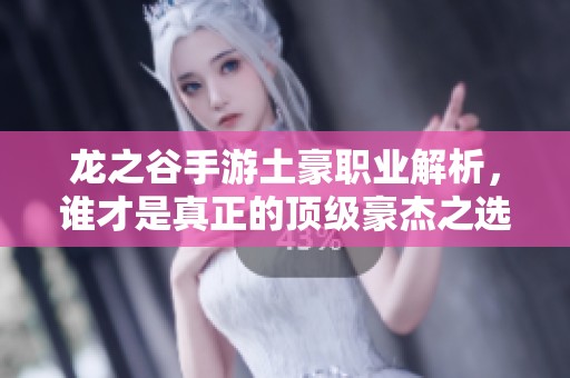 龙之谷手游土豪职业解析，谁才是真正的顶级豪杰之选
