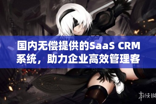 国内无偿提供的SaaS CRM系统，助力企业高效管理客户关系