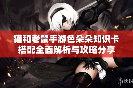 猫和老鼠手游色朵朵知识卡搭配全面解析与攻略分享