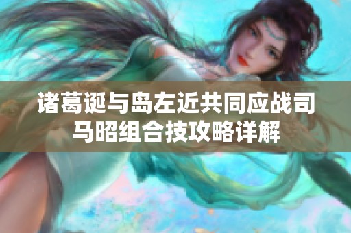 诸葛诞与岛左近共同应战司马昭组合技攻略详解