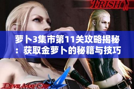 萝卜3集市第11关攻略揭秘：获取金萝卜的秘籍与技巧解析